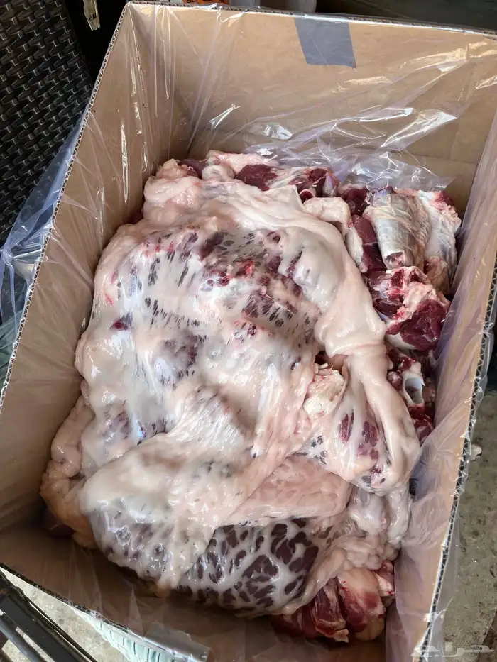 ذبايح ابو فيصل 1