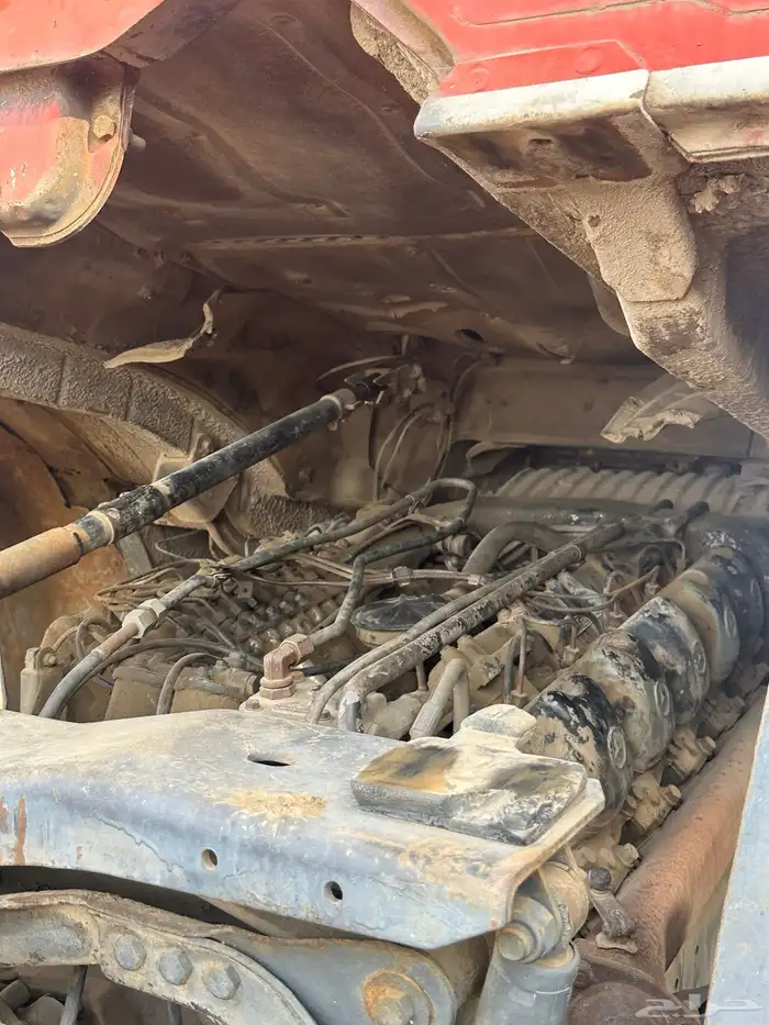 راس البي عشراويه 7