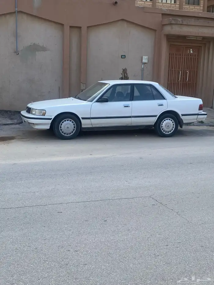 جنوط كرسيدا قراندي للبيع 0