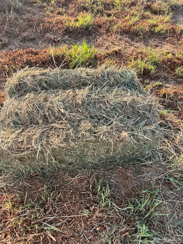 بلوبنك ناعم 13 ريال 1