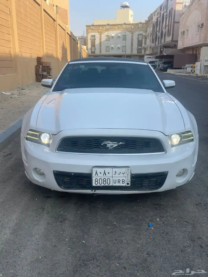 موستنج 2014 (كشف) 0