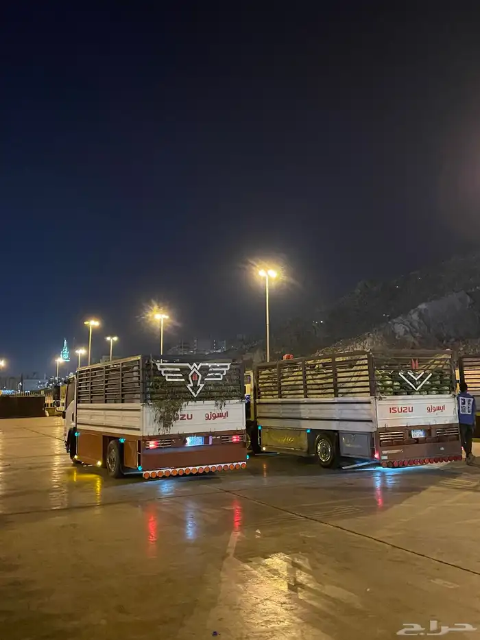 دينه دينا محايل 0