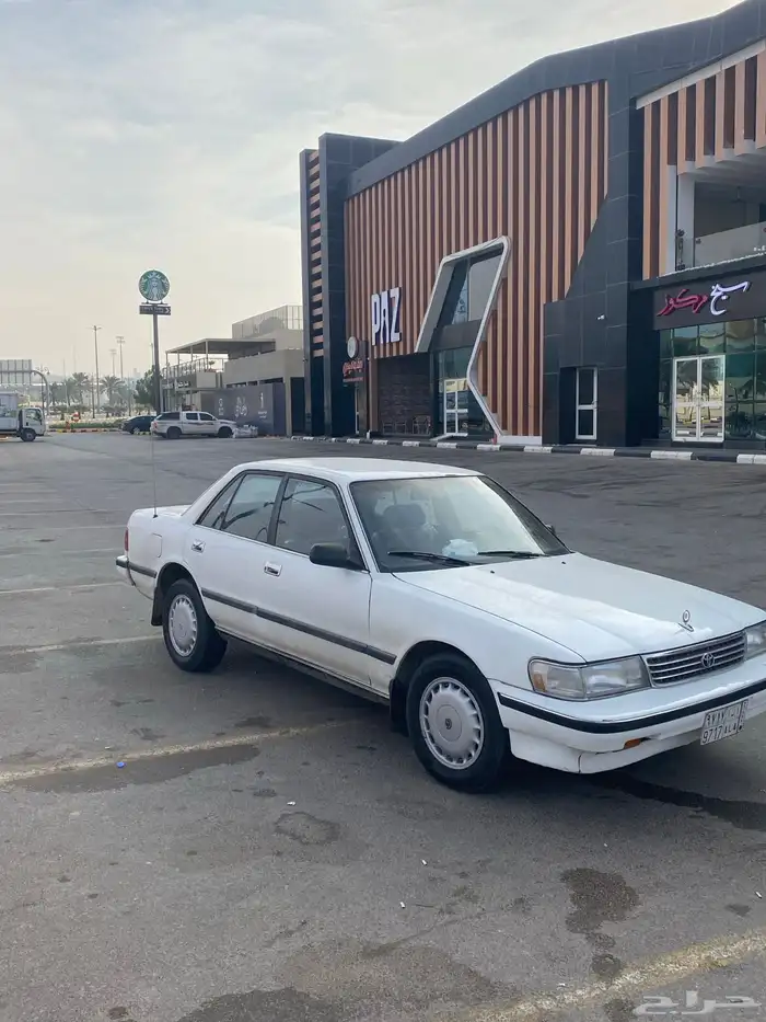 جنوط كرسيدا قراندي للبيع 2