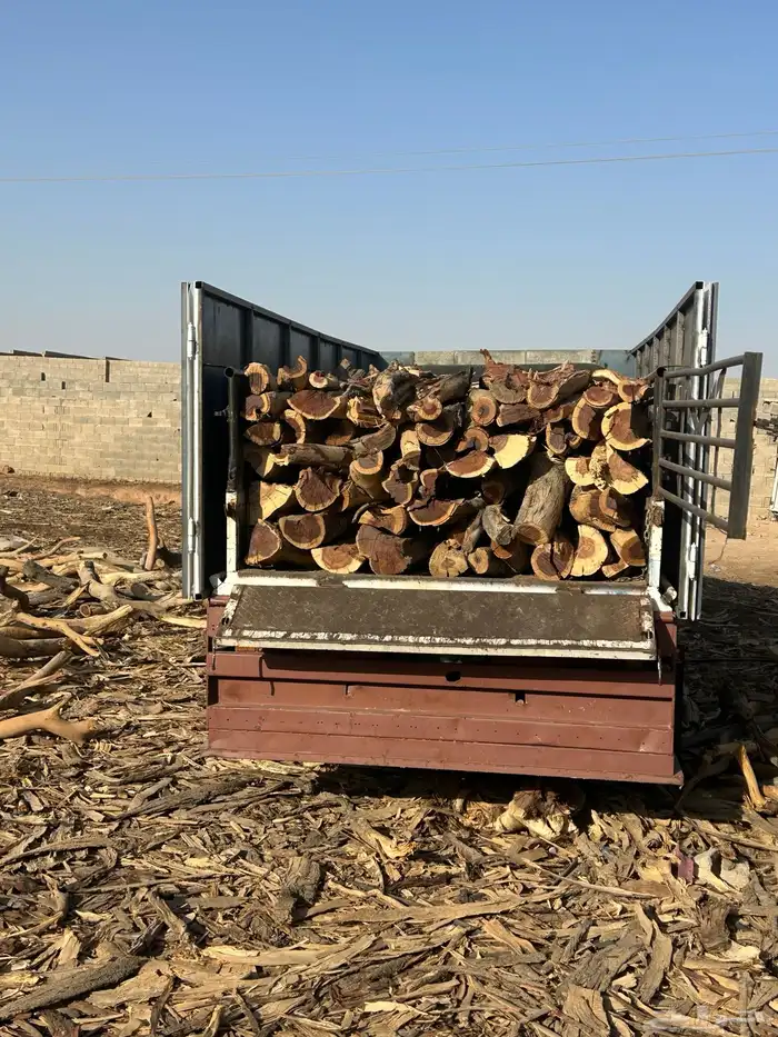 ح ط ب المدينه 0