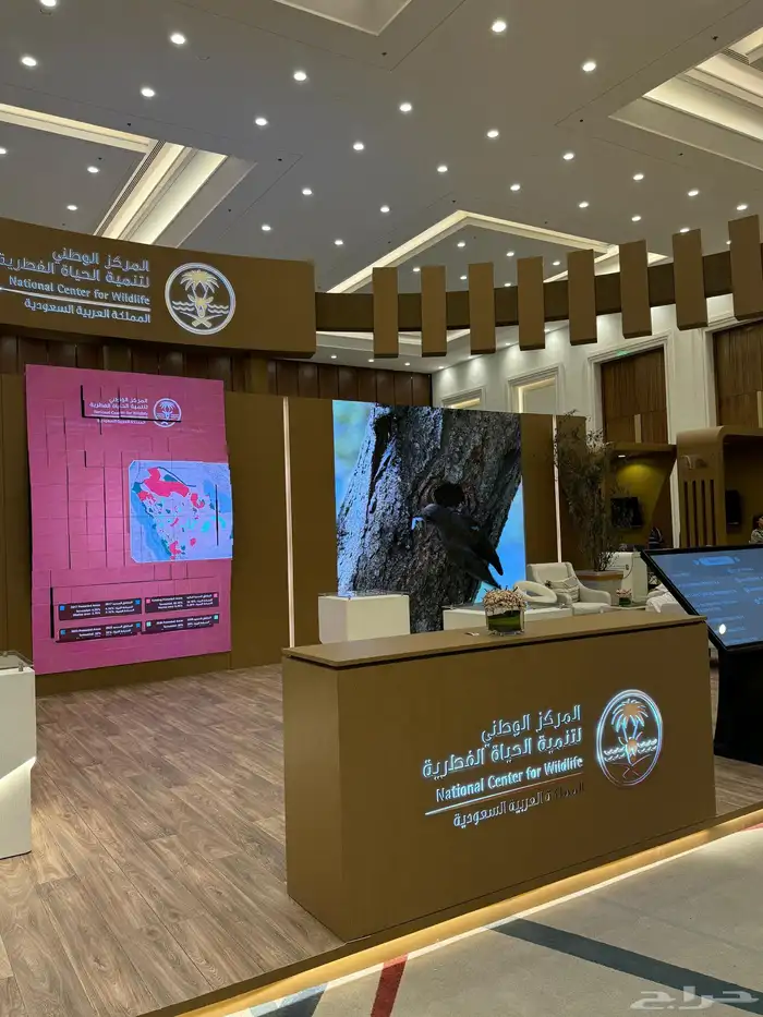 تأجير شاشات عملاقه 17