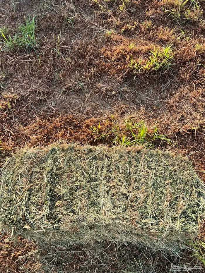 بلوبنك ناعم 13 ريال 0