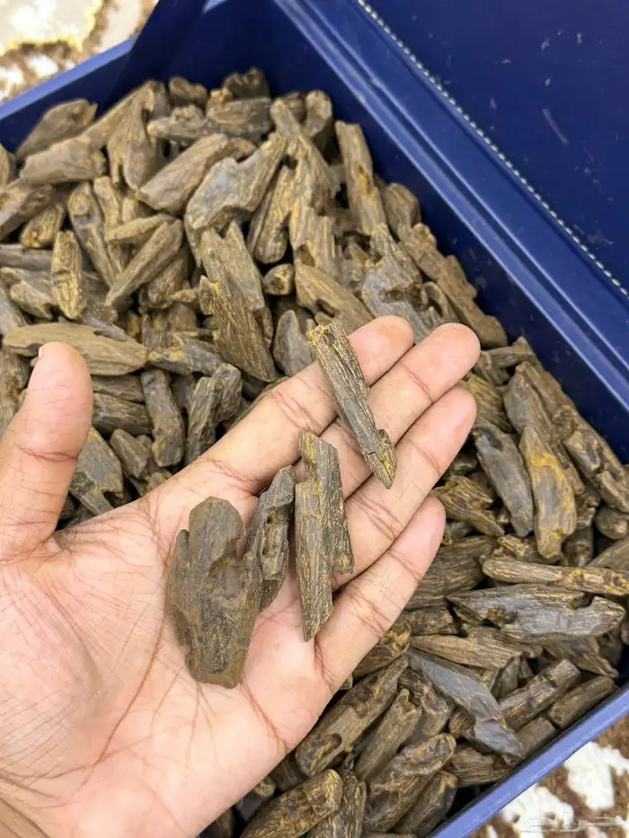عرض جملة الجملة 0