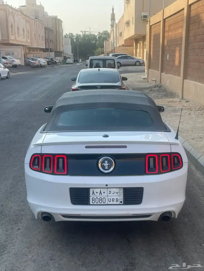 موستنج 2014 (كشف) 1