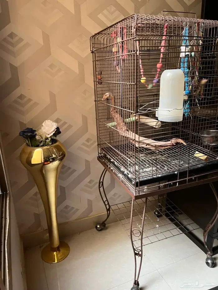 شبك او قفص طير 0