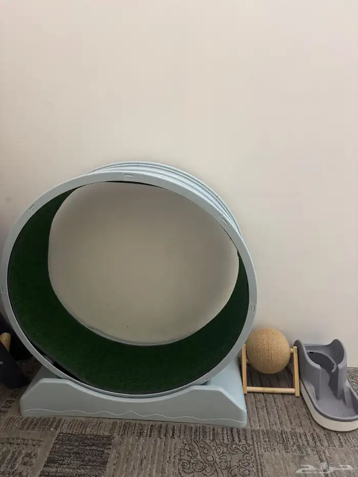 اغراض قطط 2