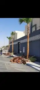 توريد وقلع النخيل وتركيب الشبوك 5