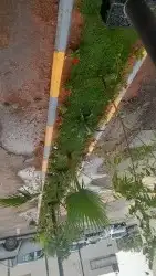 مشتل تنسيق حدائق 8