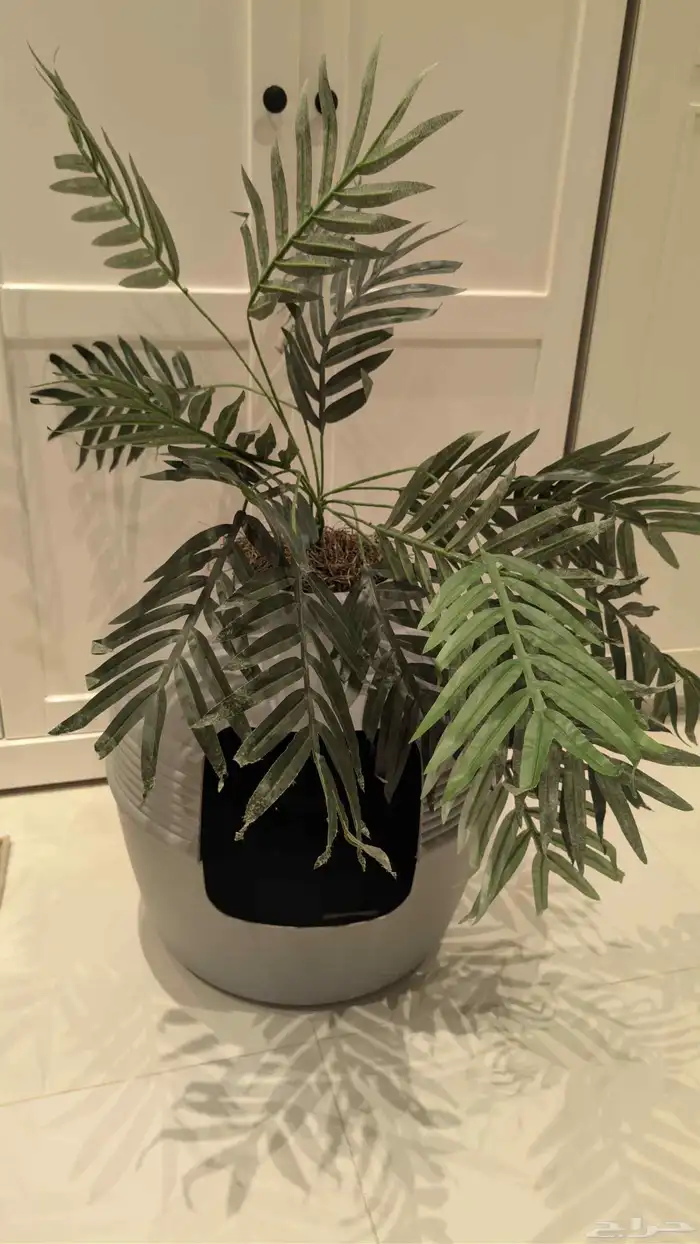 لتر بوكس قط 0