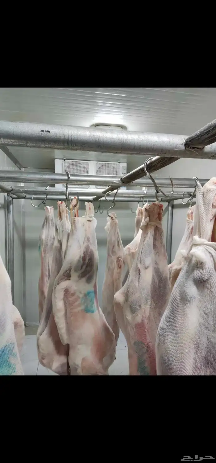 مشروع ناجح للبيع 2