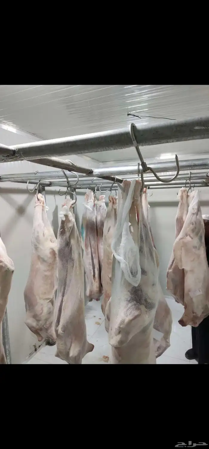 مشروع ناجح للبيع 1