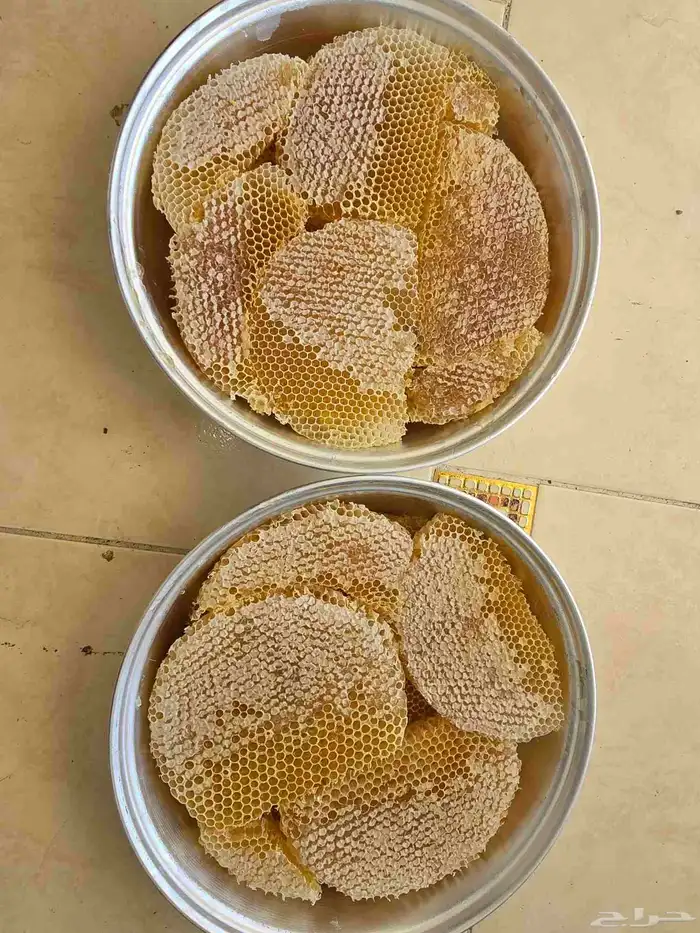 عسل سدر مضمون 1