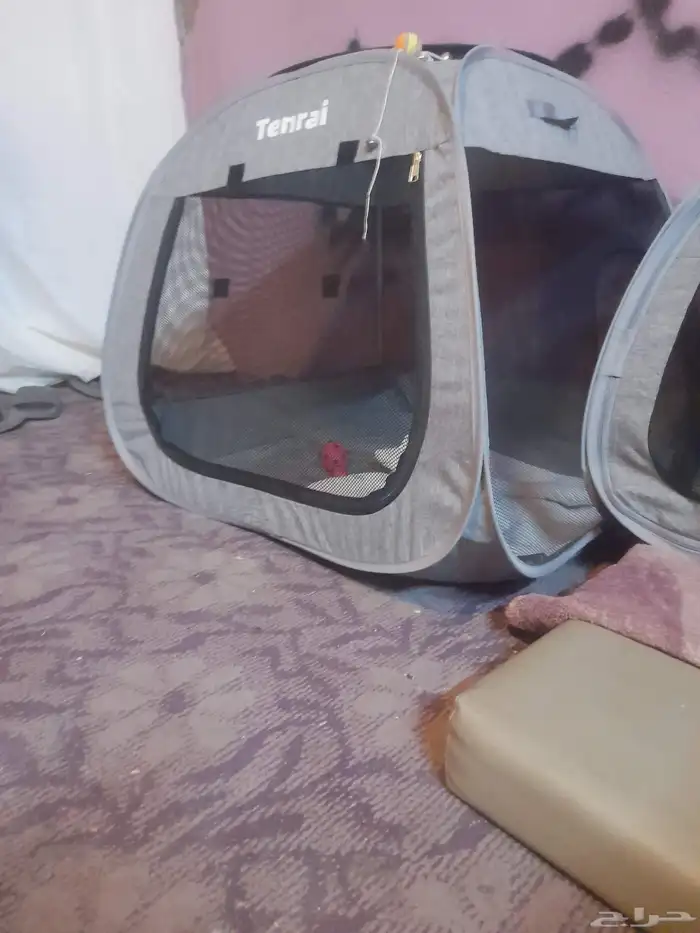 ليتربكس للقطط وبيت 3