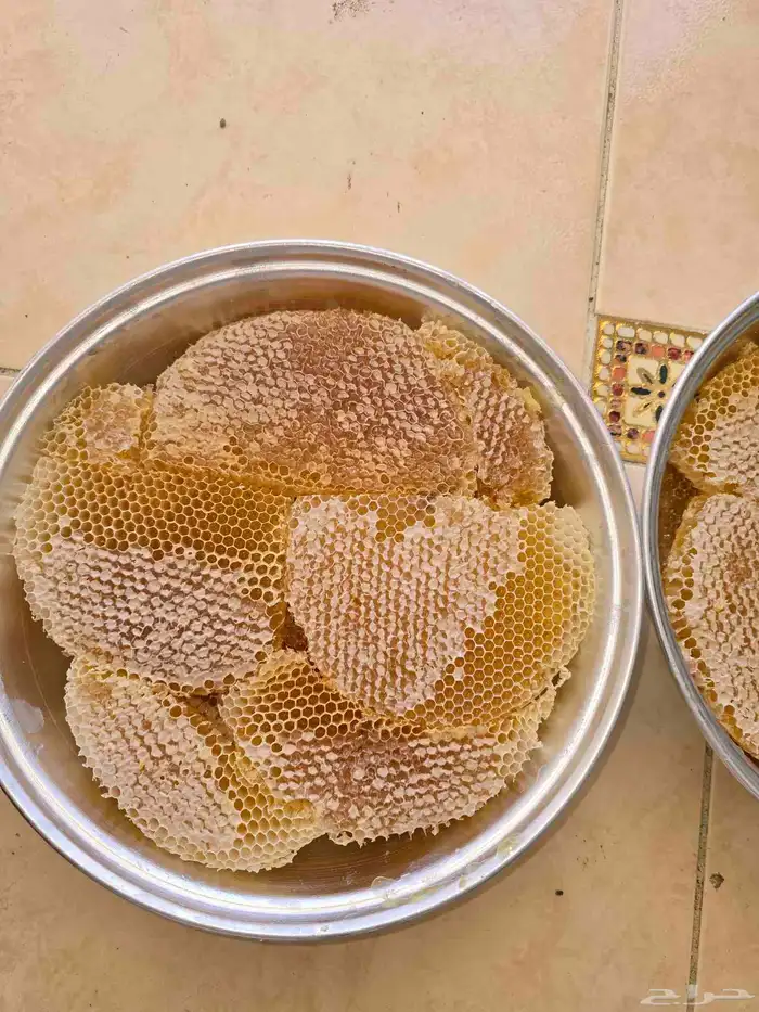 عسل سدر مضمون 2