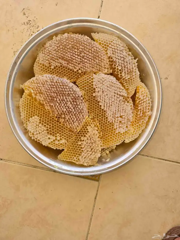 عسل سدر مضمون 0