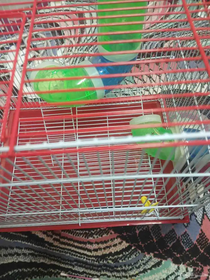 قفص هامستر مستعمل شبه مستخدمه 0