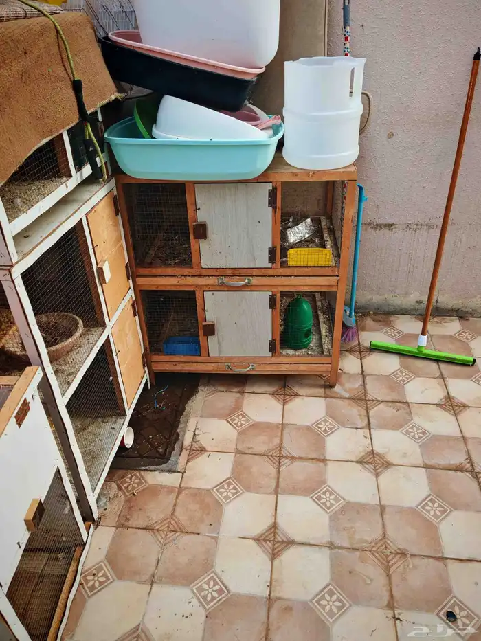 محاكر حمام 5