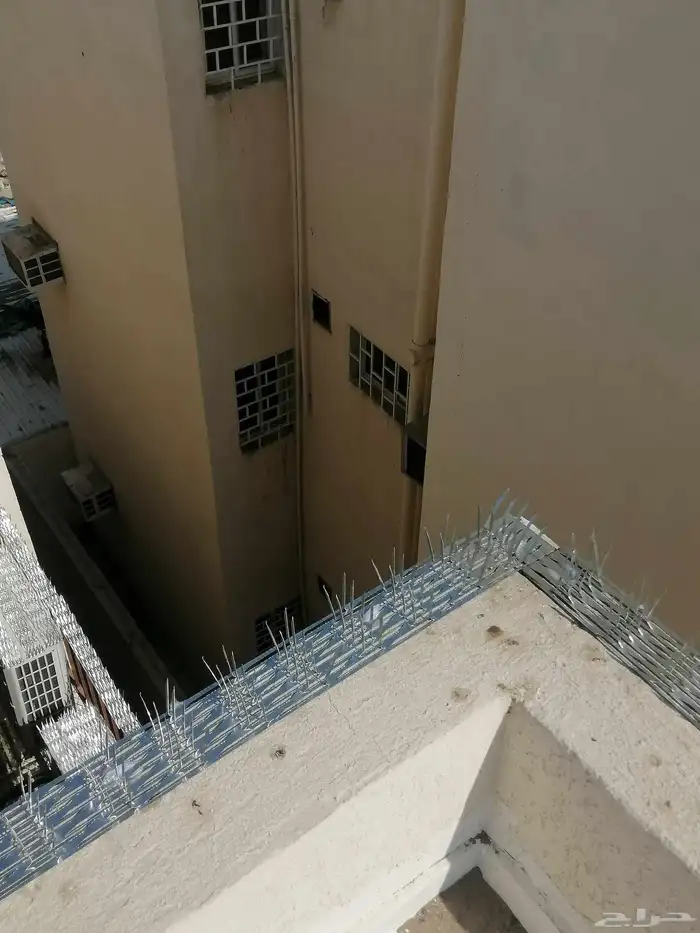 شركة تركيب طارد الحمام تركيب طارد حمام وشبك حمام 2