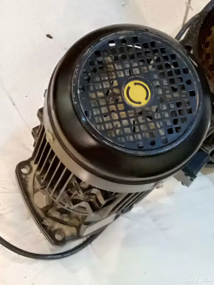 عرض حبتين دنمو طويل قوت الثنين حصان شغال نظيف للبيع 4