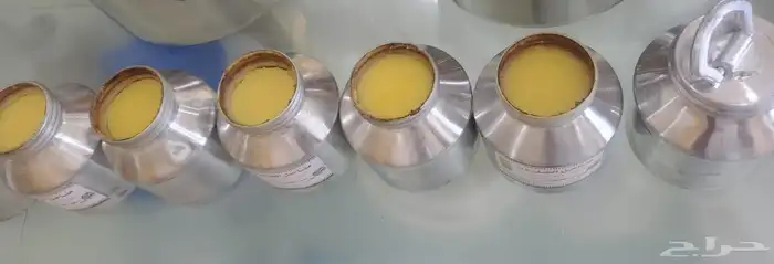 سمن الغنم البلدي 6