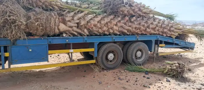 ونش للإيجار ( رافعه بوم ترك) 5