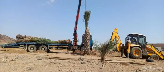 ونش للإيجار ( رافعه بوم ترك) 1