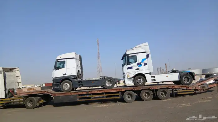 لوبد في حائل 0