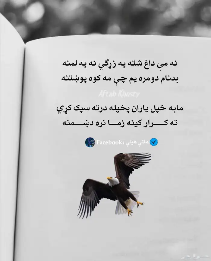 صب  مروح  صب  ميزاني  صب  مطبوع  مواد بدون مواد 6