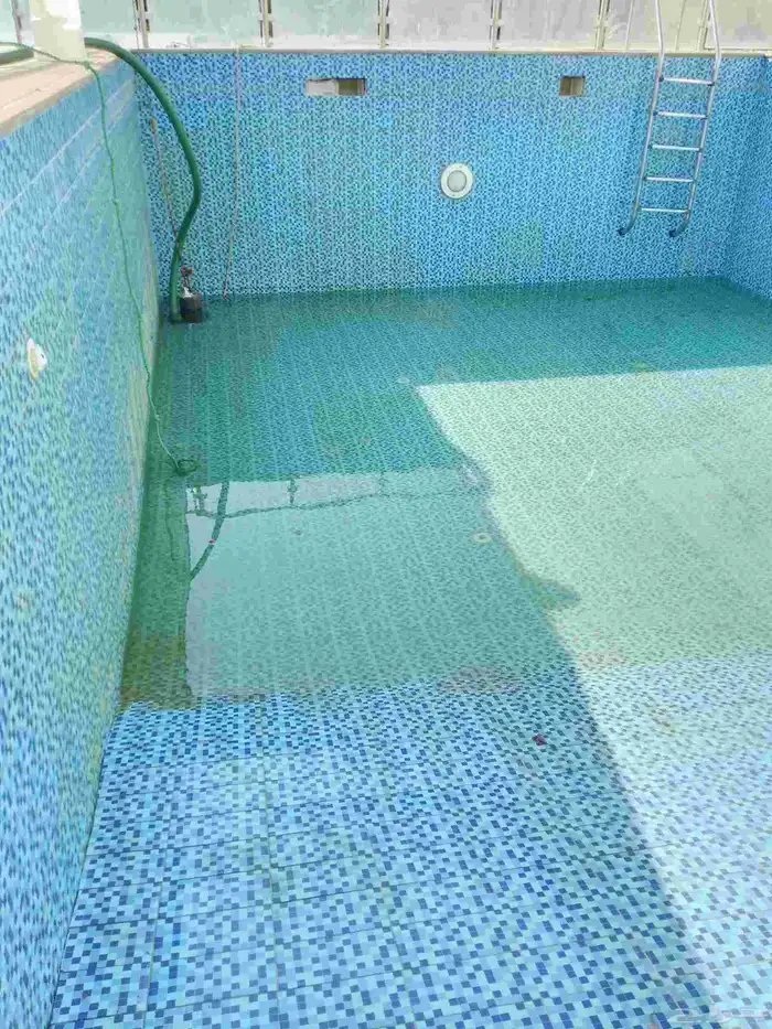 مؤسسة النقطه الأولي 11