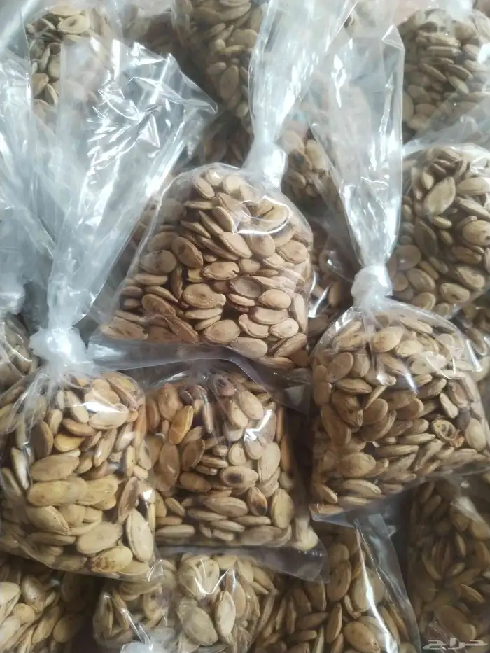 زعقاء بلدي 1