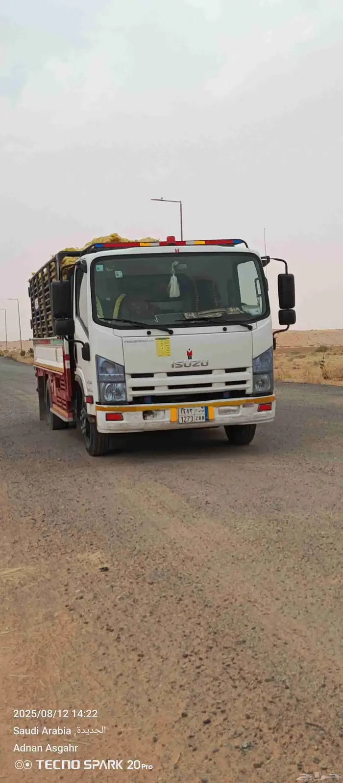 دينا المشواره القاعده الخطه حائل رفحا بقاء 0