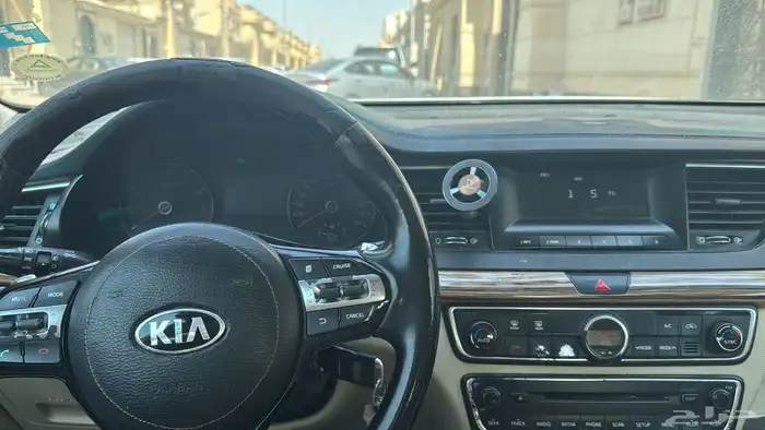 كادنزا 2017 4