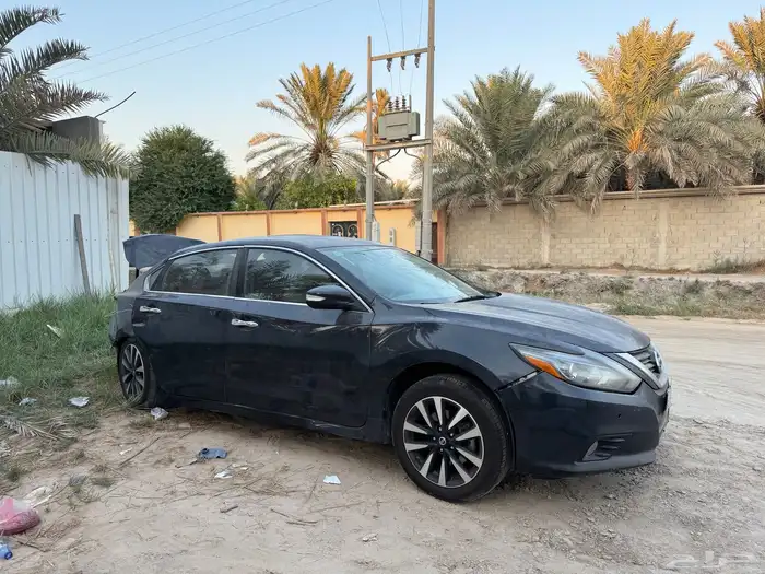 التيما تالف 2018 0