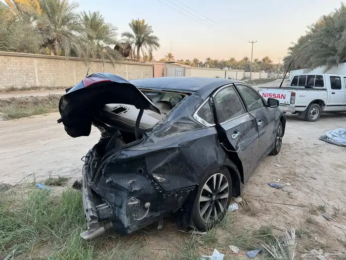 التيما تالف 2018 1