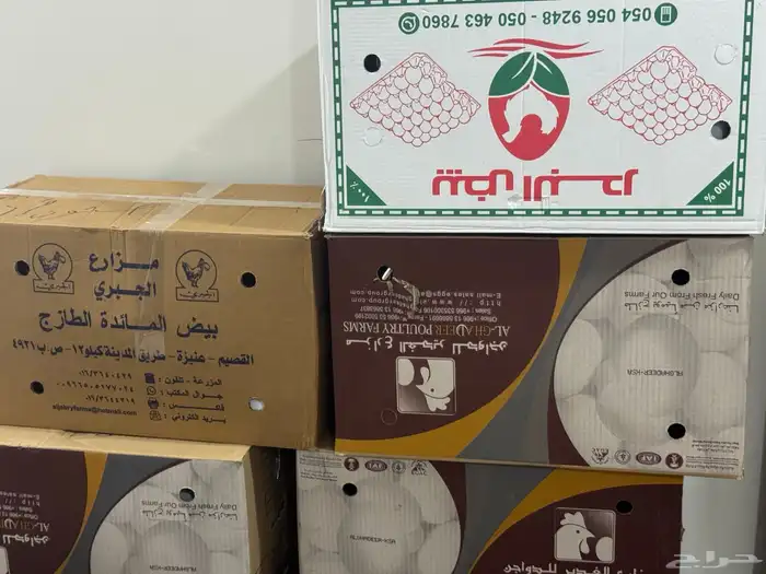 اثاث استخدام شهر 3