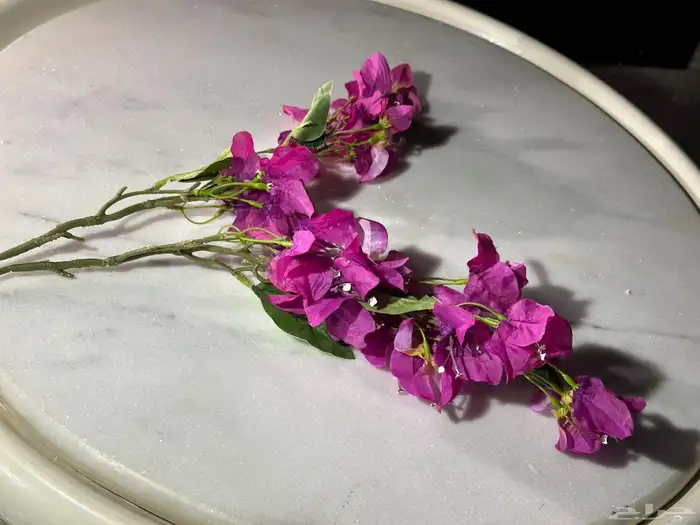 تأجير جميع مايخص الاحتفالات والمناسبات و المعارض 42