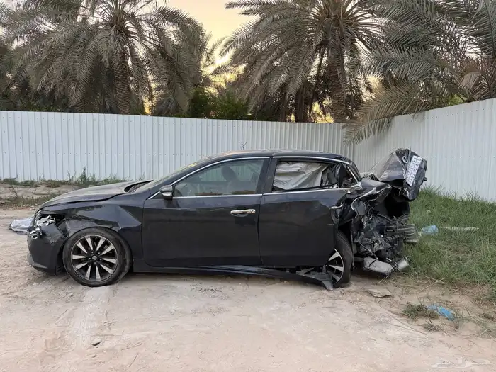التيما تالف 2018 2