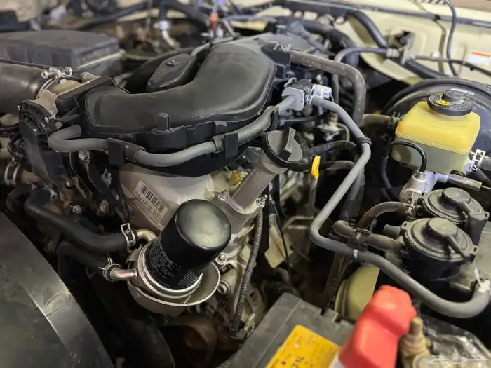 شاص غمارتين 2017 تم اللبيع 31