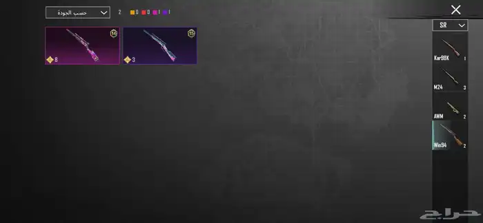 حساب ببجي للبيع 24