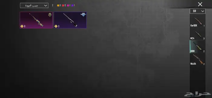 حساب ببجي للبيع 25