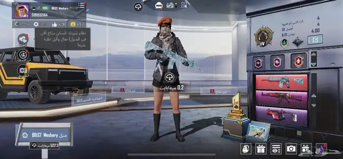 حساب ببجي 5