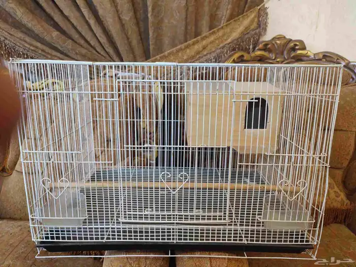 قفص - اقفاص - طيور - حيوانات 0