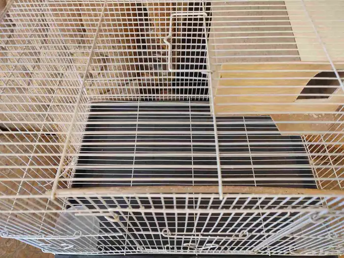 قفص - اقفاص - طيور - حيوانات 1