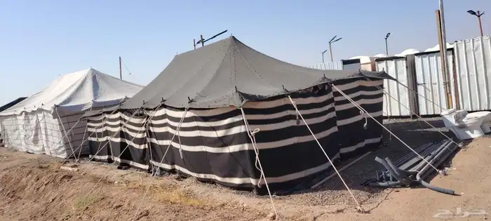 بيت شعر 5في9 عمدان نضيف شرط 2