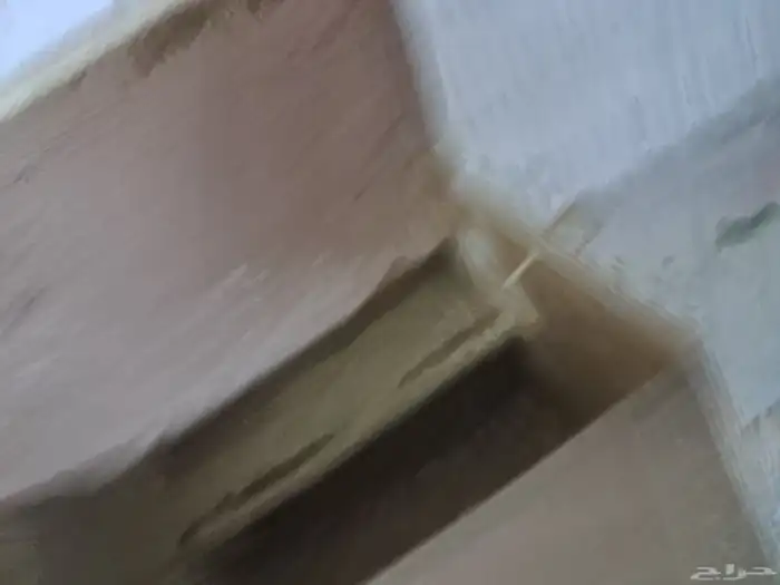 زوج بادجي منتج مشروط 3