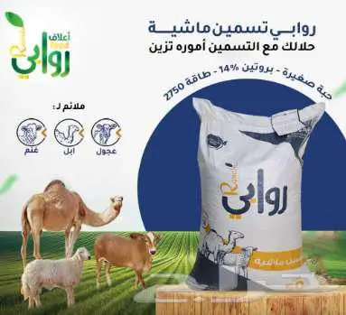 ليش تدفع أكثر  نفس جودة أراسكو بسعر أقل   اتصل الآن 2